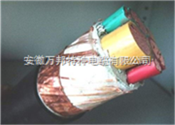 ZR-BPGGP（R）阻燃硅橡胶变频电机电缆