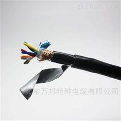 DJFFP2-2*2*1.0耐高温计算机电缆