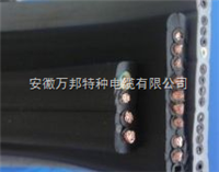 YVFB系列硅橡胶扁电缆/硅橡胶电机电缆
