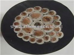 KGGP系列多芯屏蔽硅橡胶控制电缆