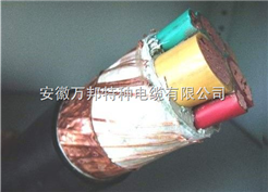BPGGP（R）变频器专用电缆/硅橡胶电机电缆/耐高温电机电缆变频器电机电缆价格
