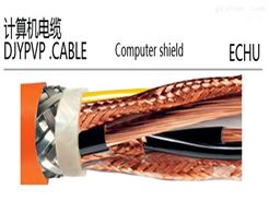 DJYVP22  2*2*1.0双绞屏蔽计算机铠装电缆